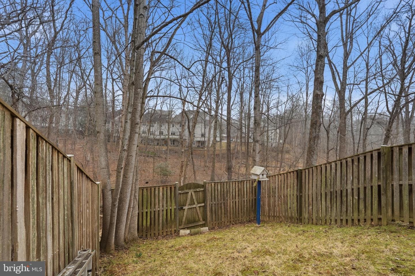 10504 Apple Ridge Road photo 29