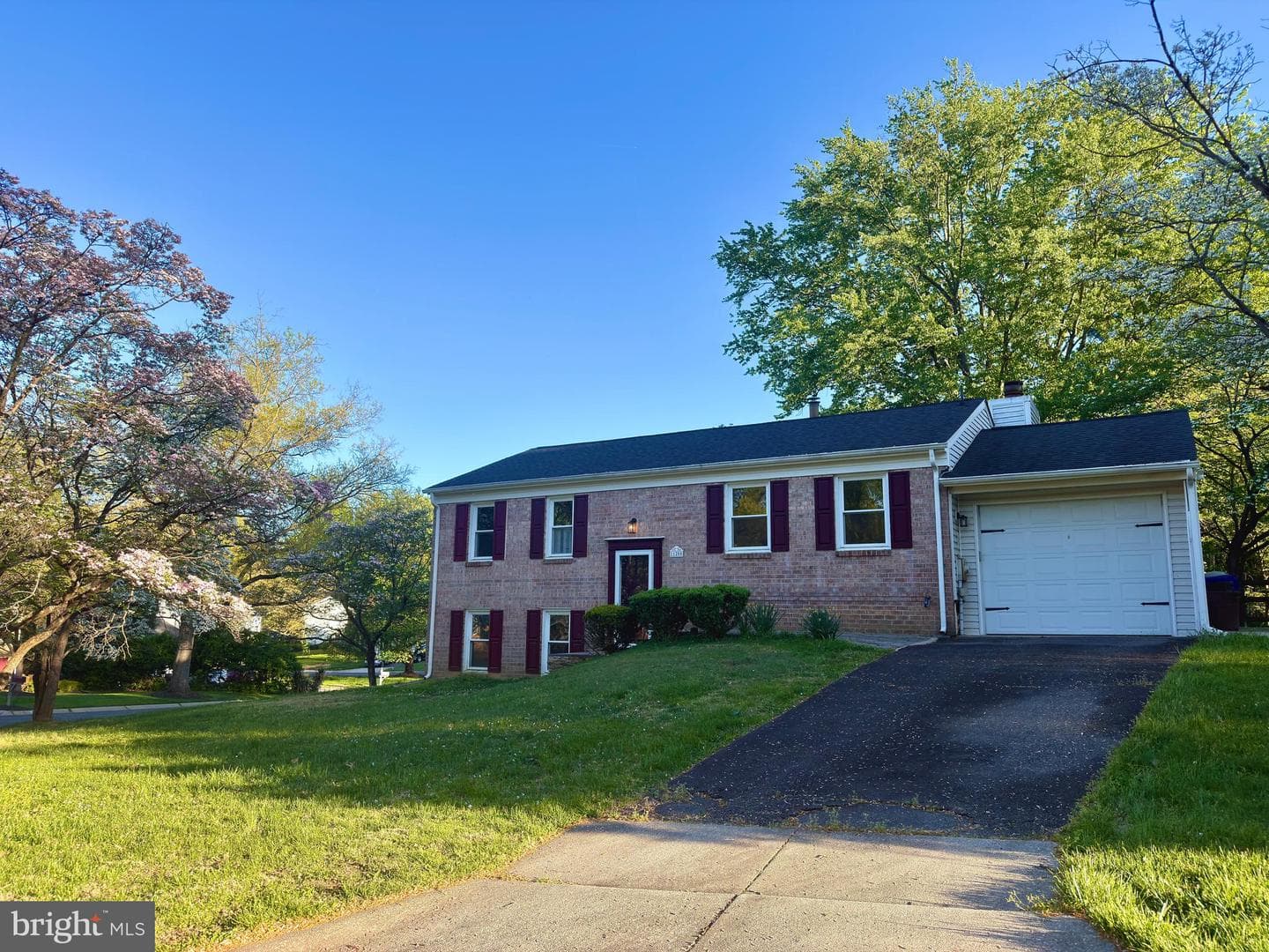 11200 Trippon Ct photo 3