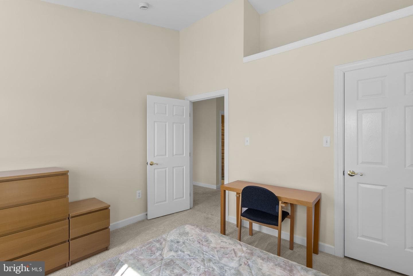 10407 Flowerfield Way photo 28
