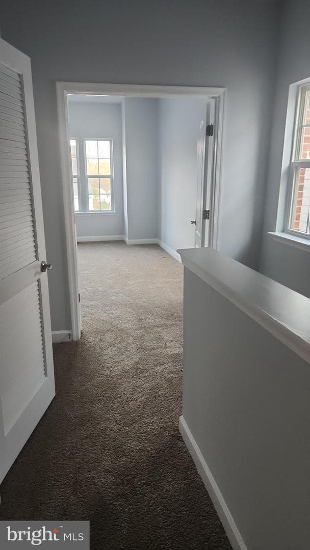 11612 Leesborough Circle photo 28