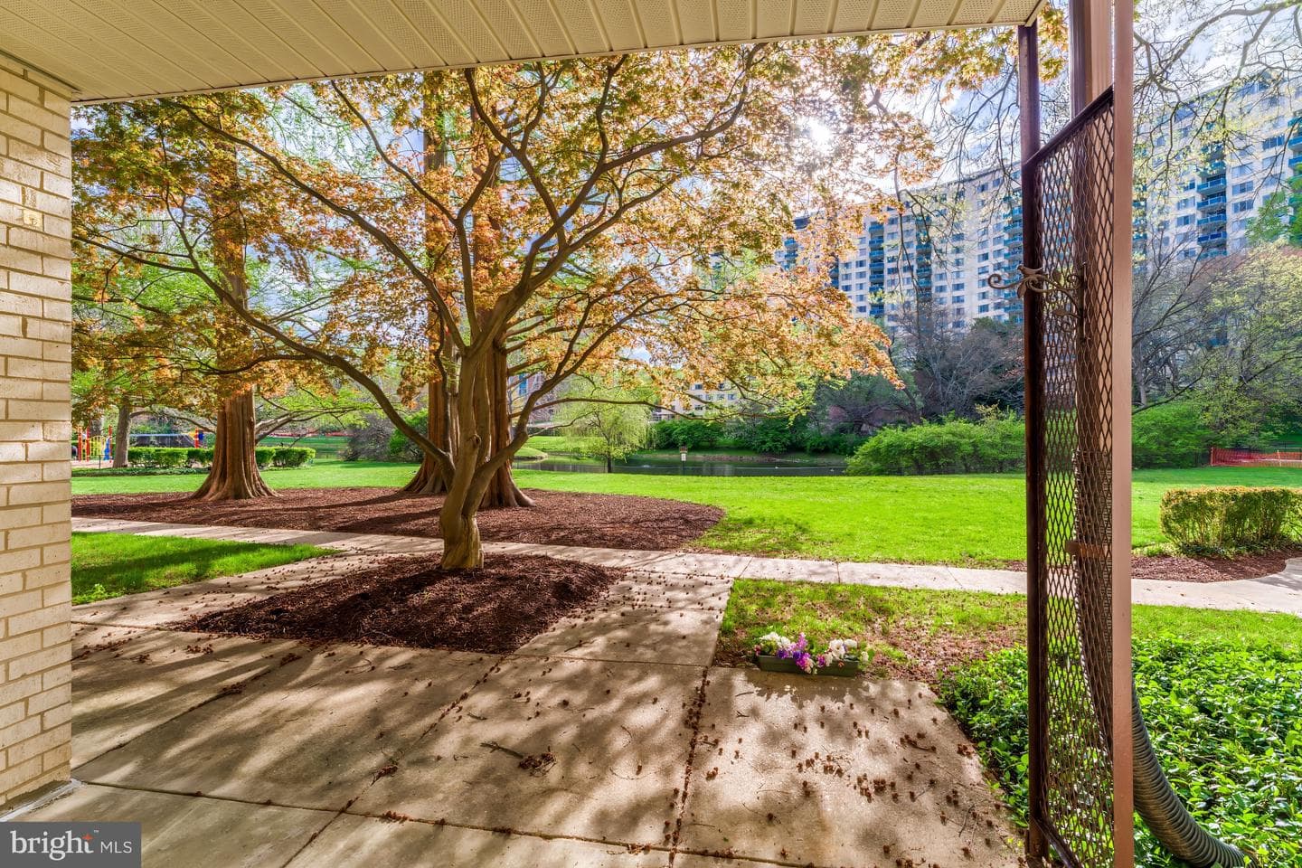 10420 Rockville Pike #102 photo 3