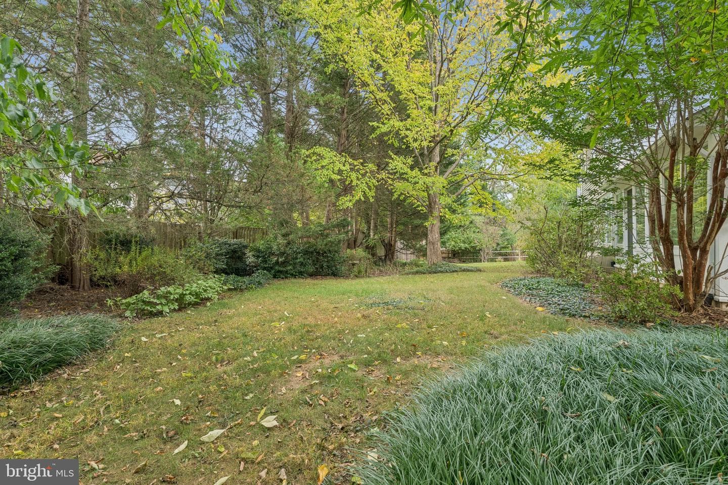 6 Thorburn Place photo 29