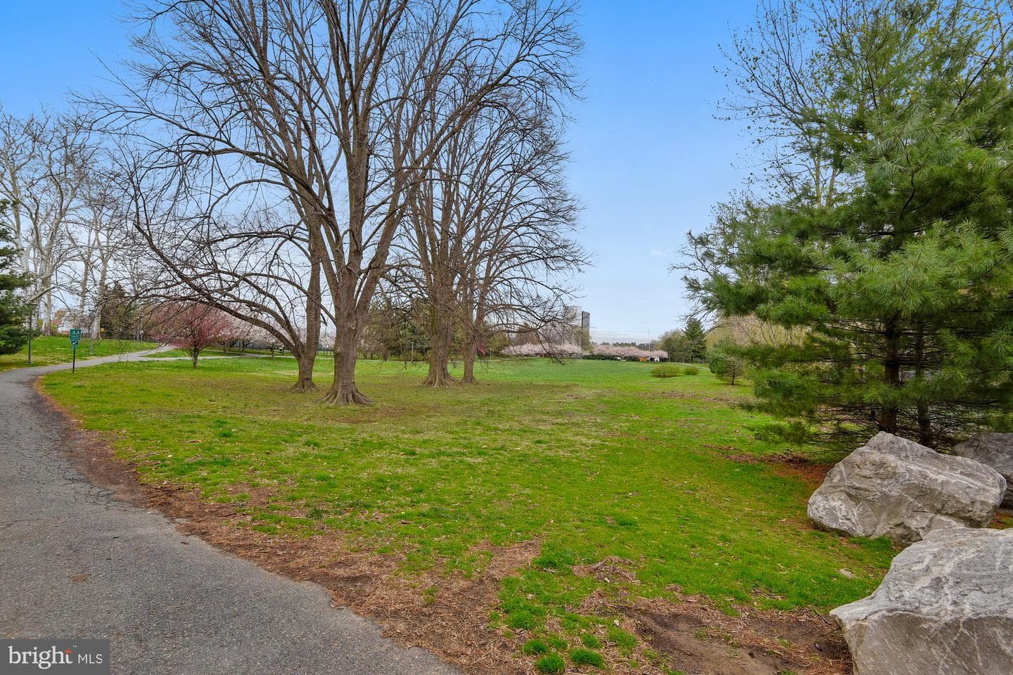 11708 Milbern Drive photo 62
