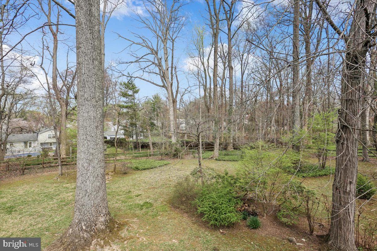 17413 Rio Dulce Court photo 69