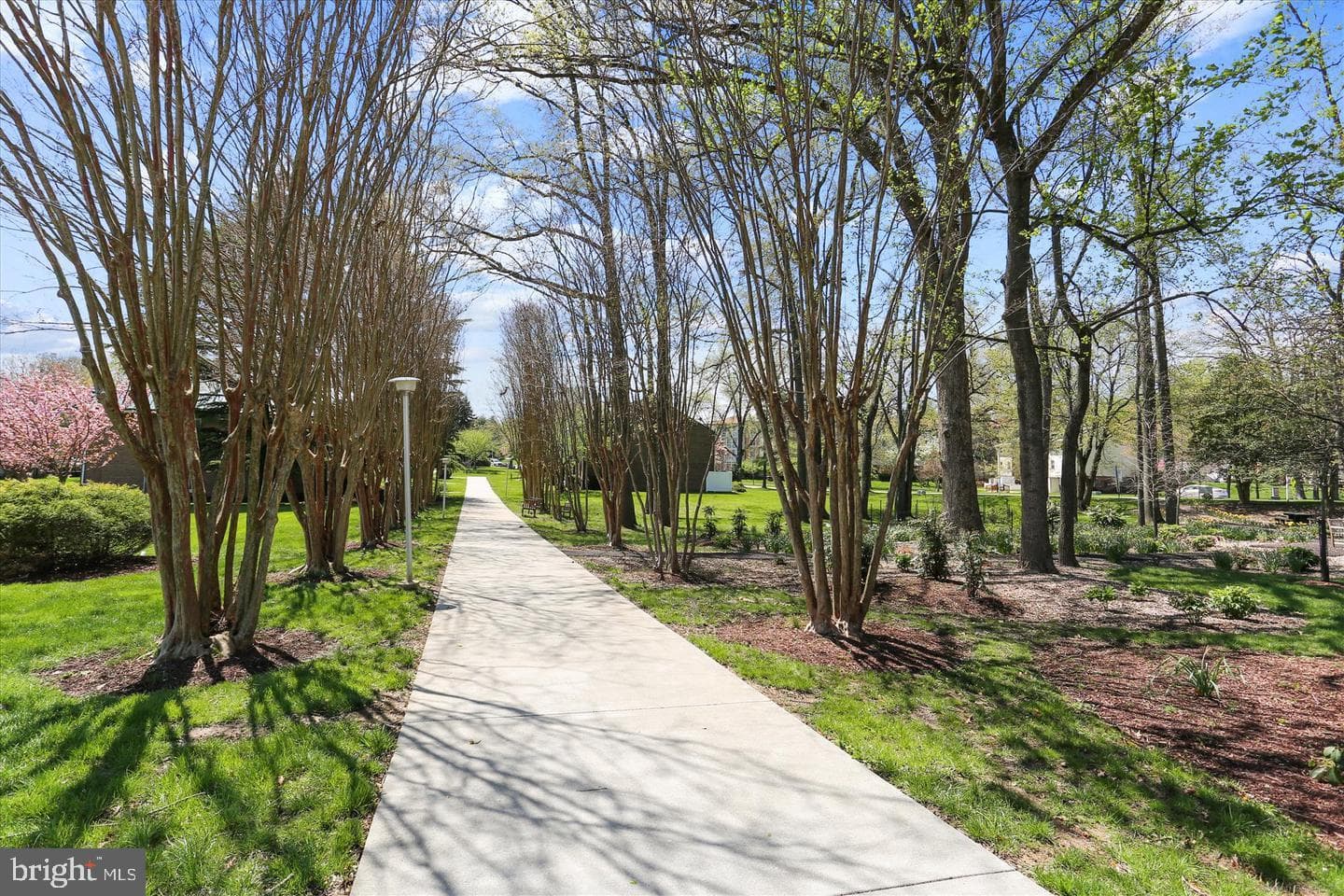 3330 N Leisure World Boulevard #5-415 photo 22