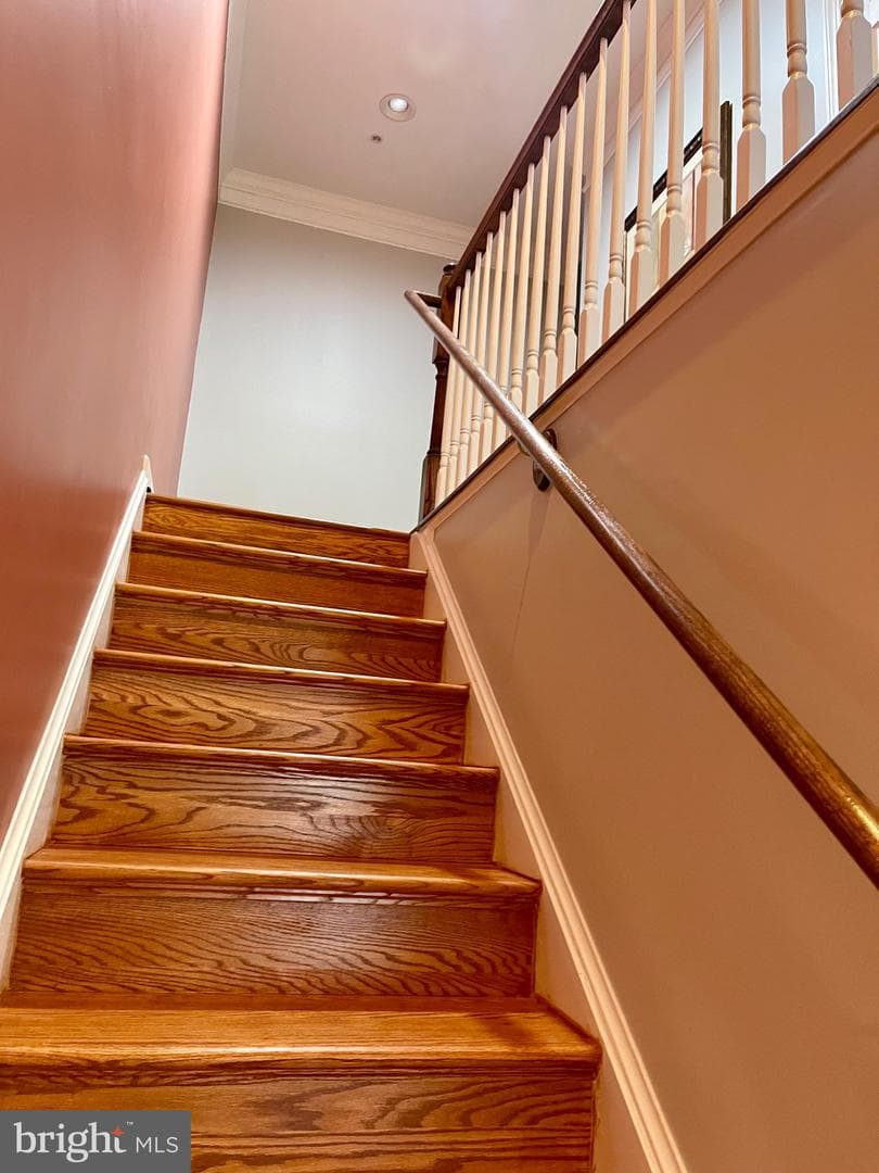 264 Urban Avenue #264 photo 14