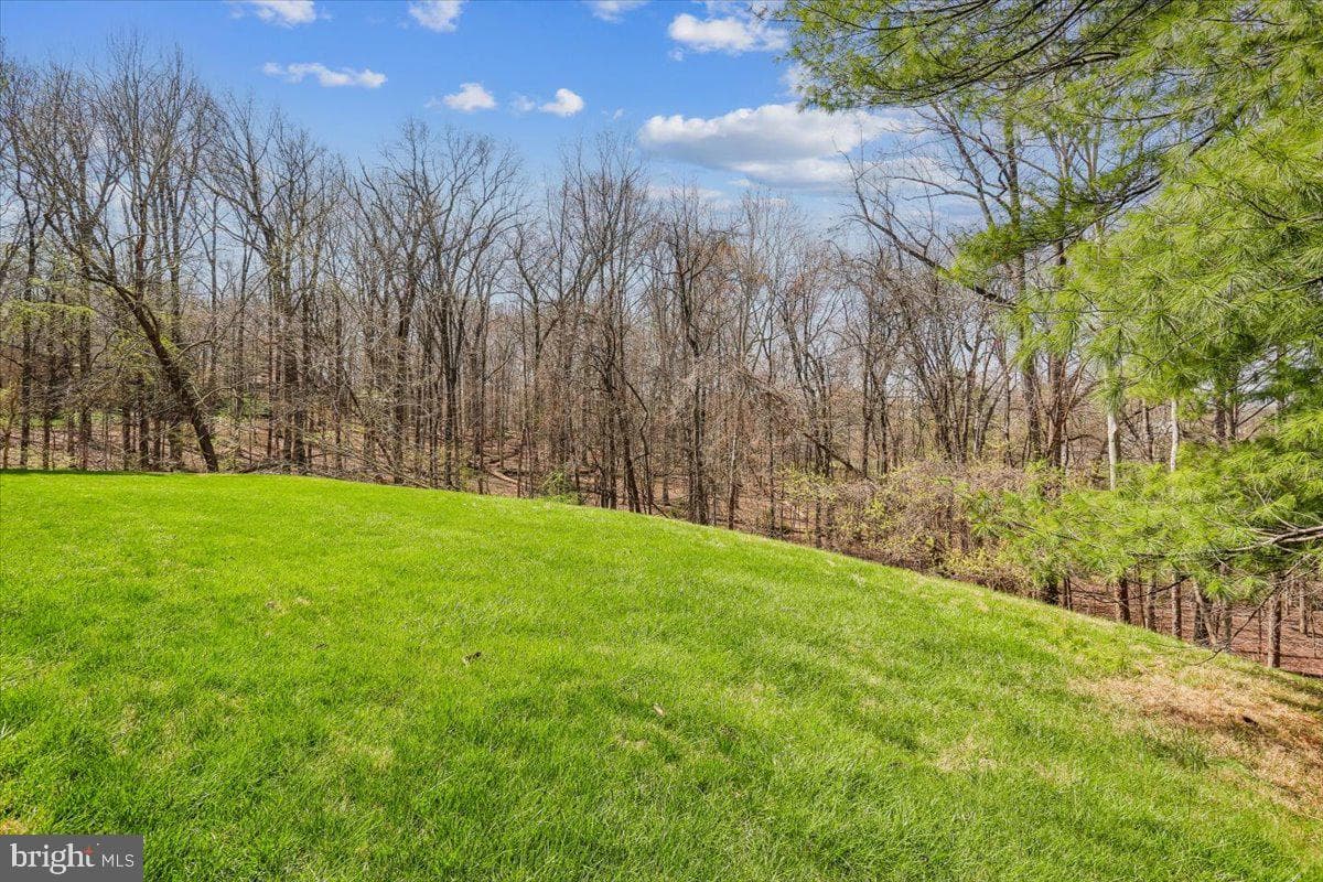11112 Tara Rd photo 40