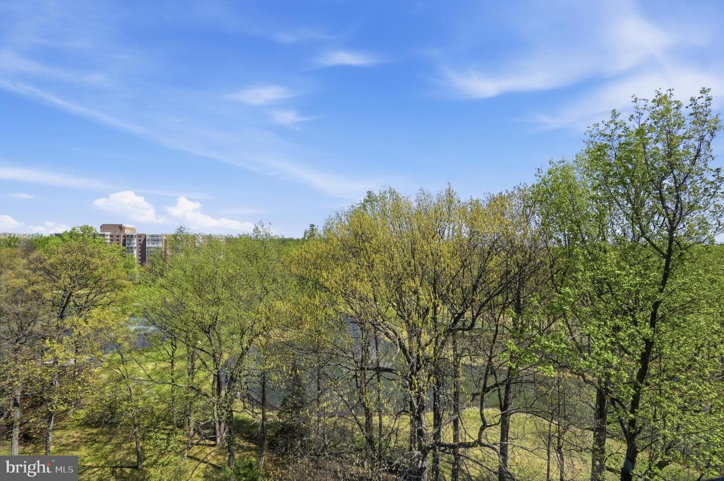 15107 Interlachen Drive #2-1006 photo 14