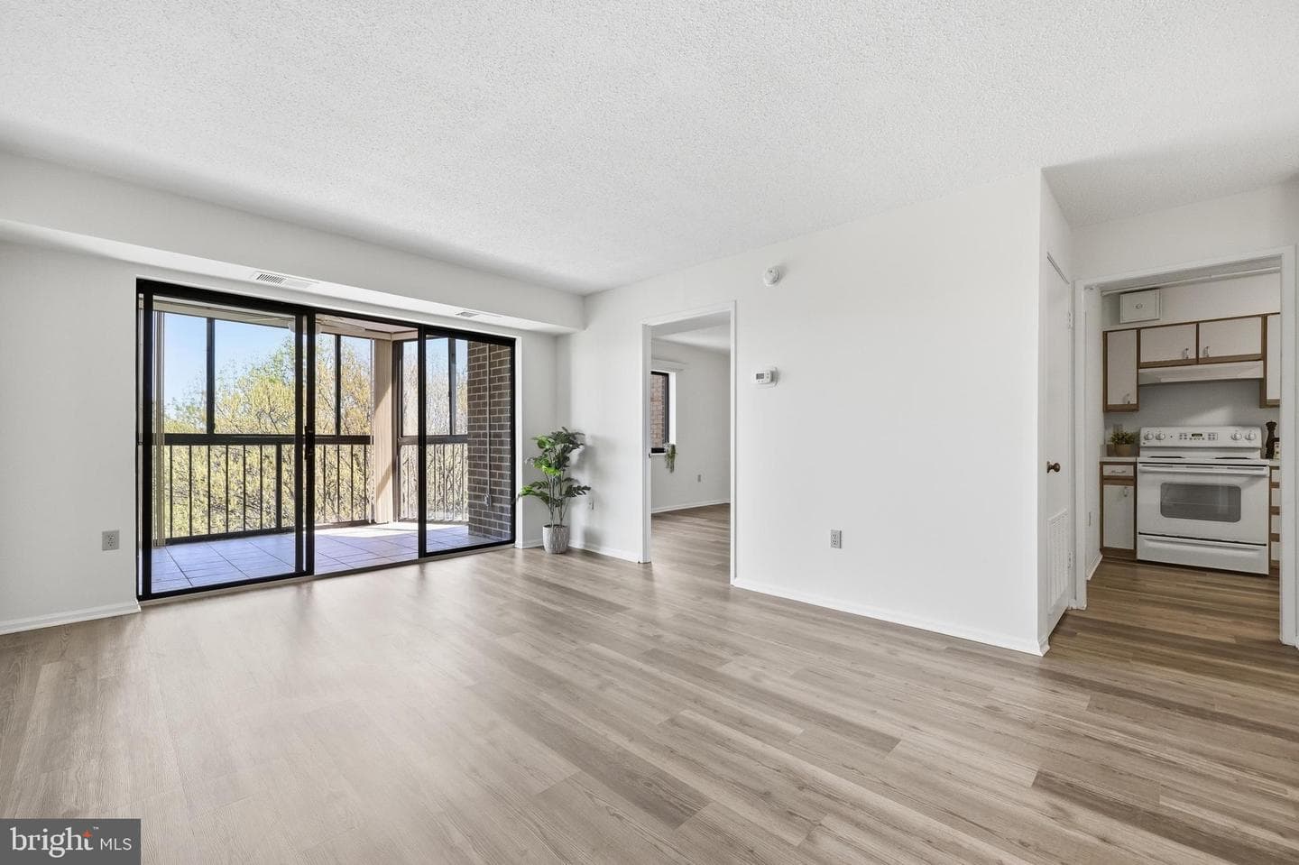 15107 Interlachen Drive #2-1006 photo 26