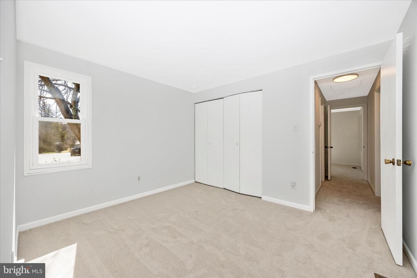 14 Cherry Grove photo 33