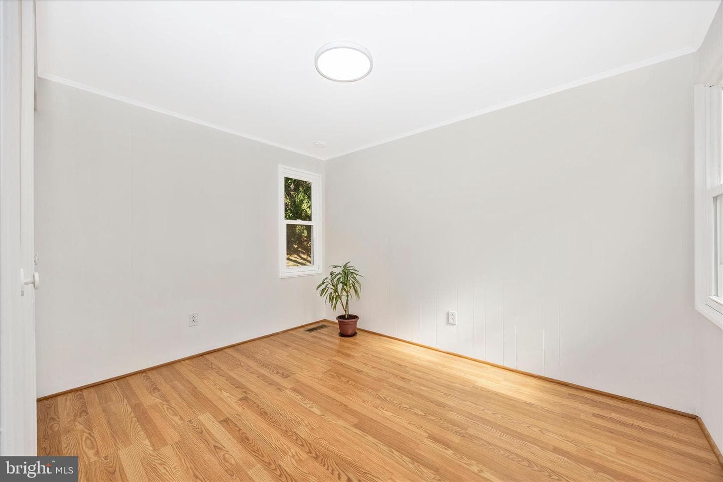 14 Cherry Grove photo 37