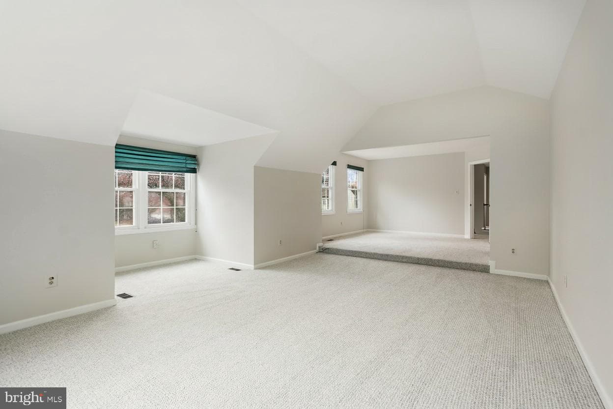 4 Leatherbark Court photo 29