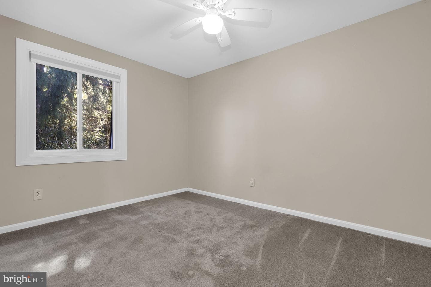 19103 Capehart Drive photo 19