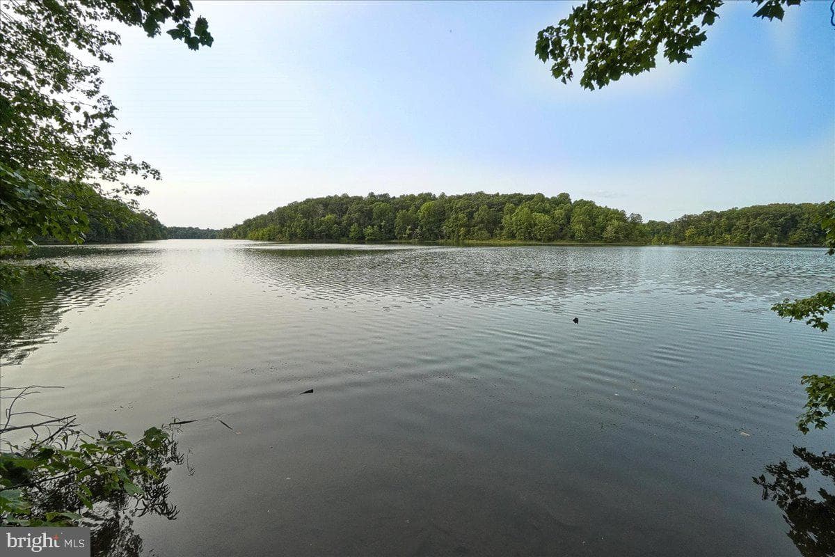 20073 Placid Lake Terrace photo 49
