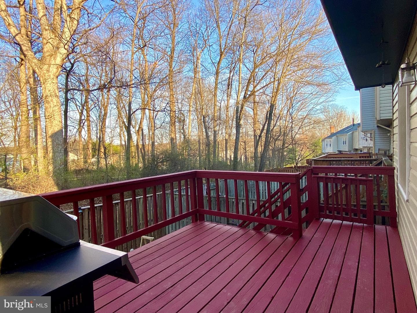 12421 Walnut Cove Circle photo 34
