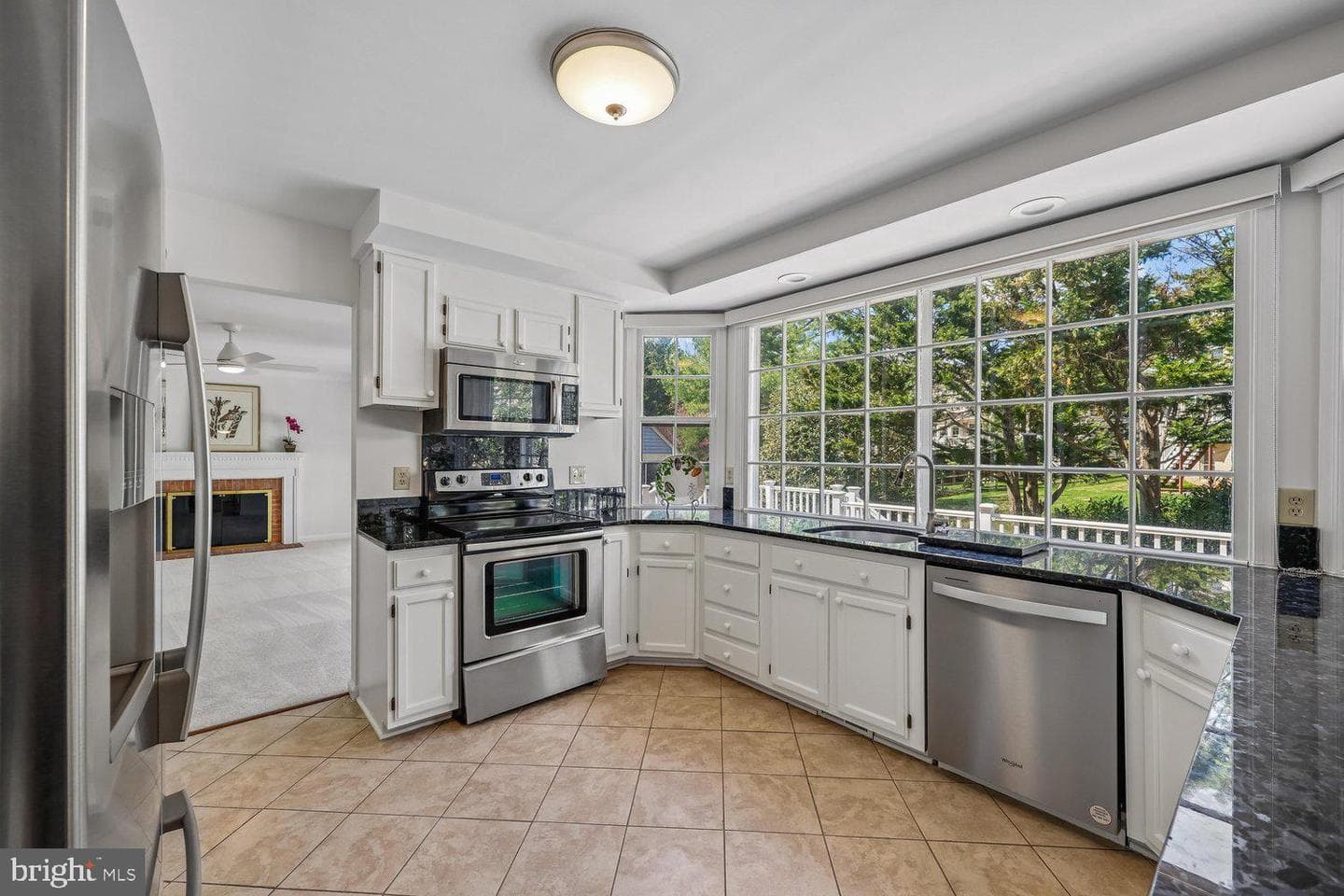14416 Frances Green Way photo 16