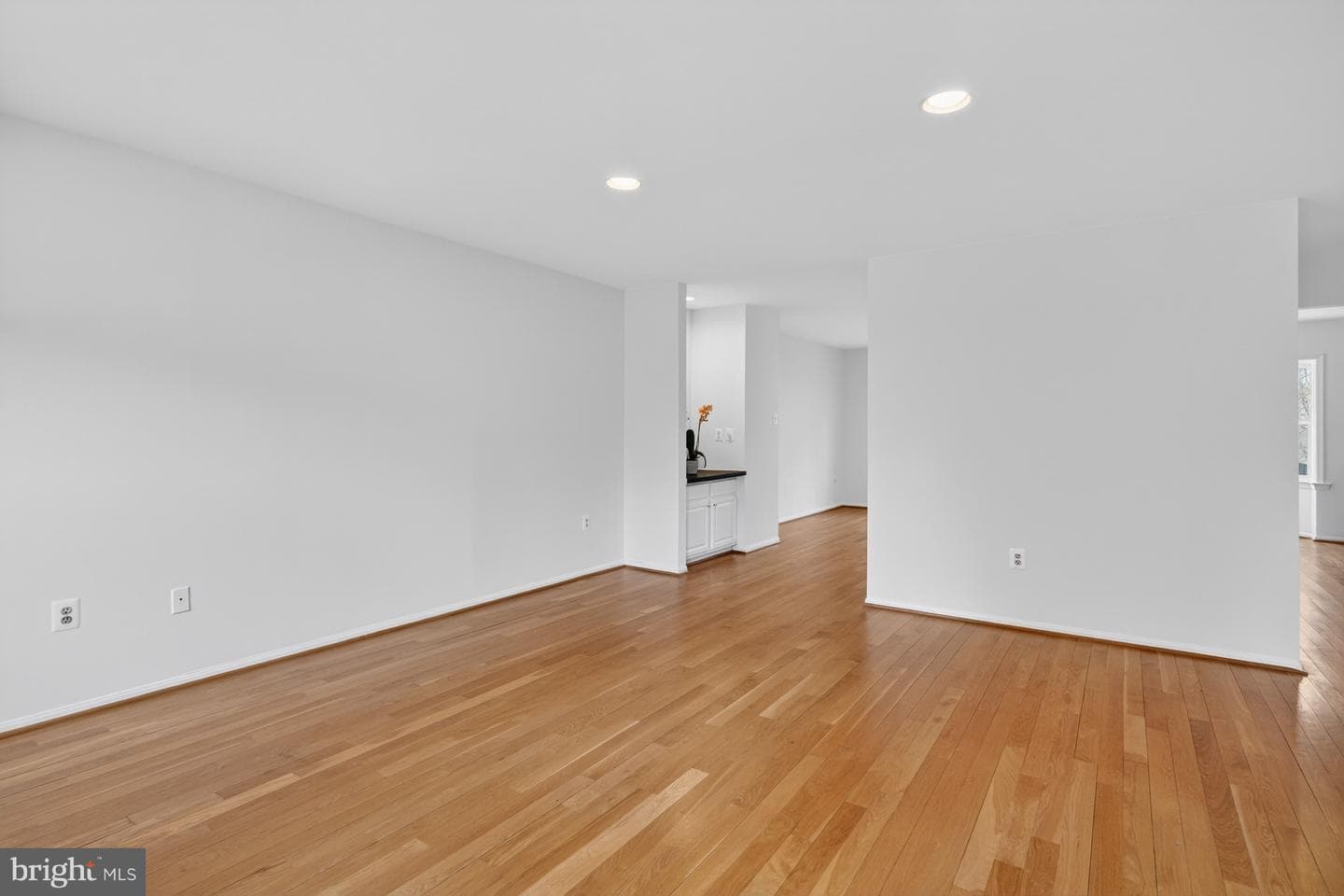 7521 Coddle Harbor Lane photo 9