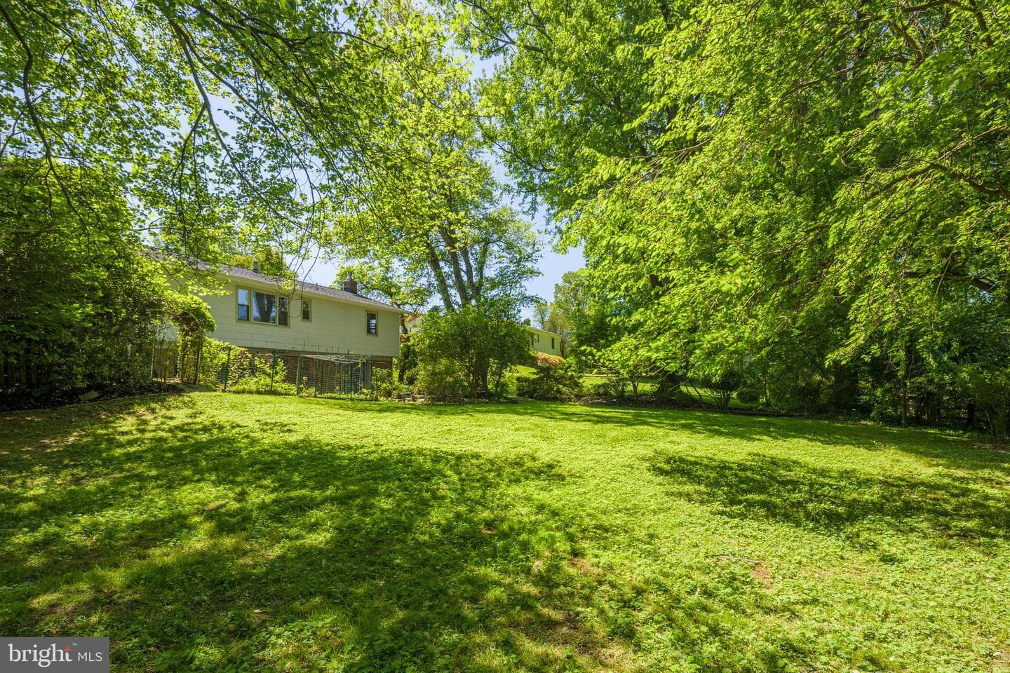 12912 Old Columbia Pike photo 35
