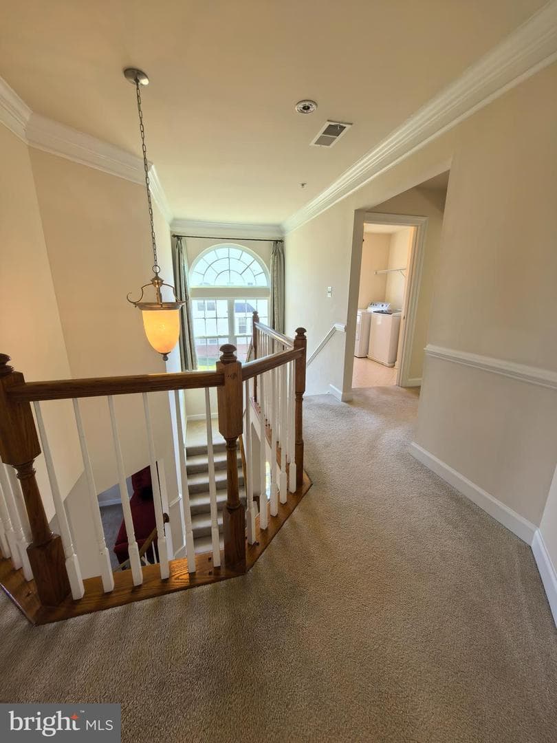 23018 Sycamore Farm Drive photo 18