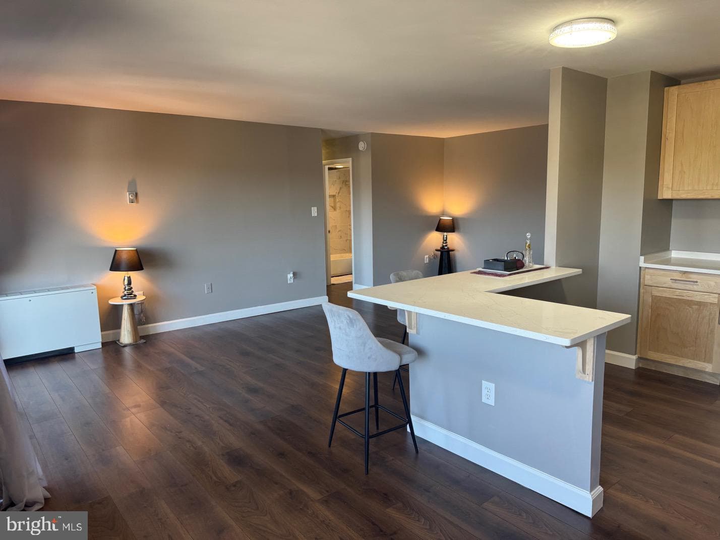 8830 Piney Branch Road #803 photo 17