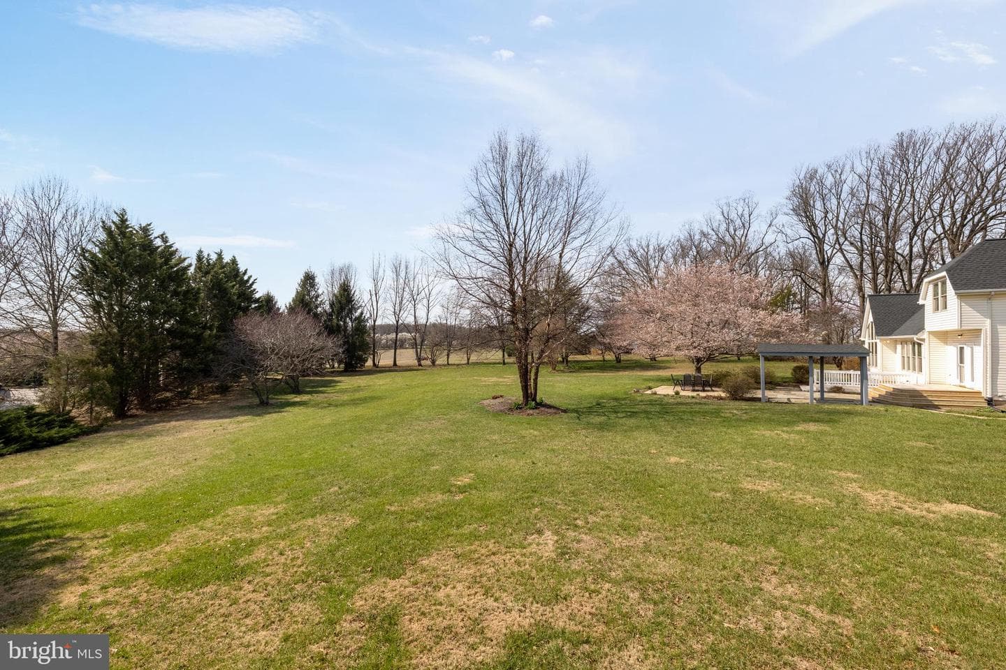 20407 Peach Tree Road photo 51