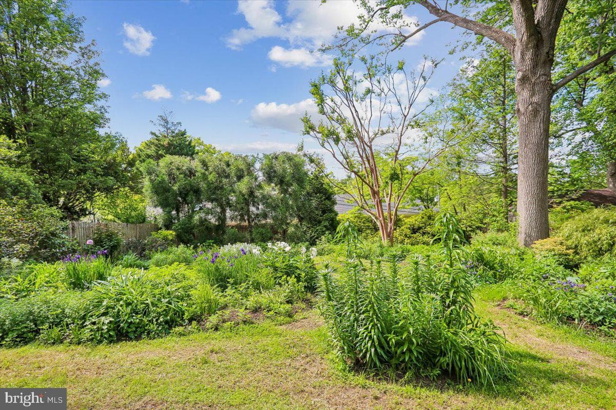 6404 Western Avenue photo 96