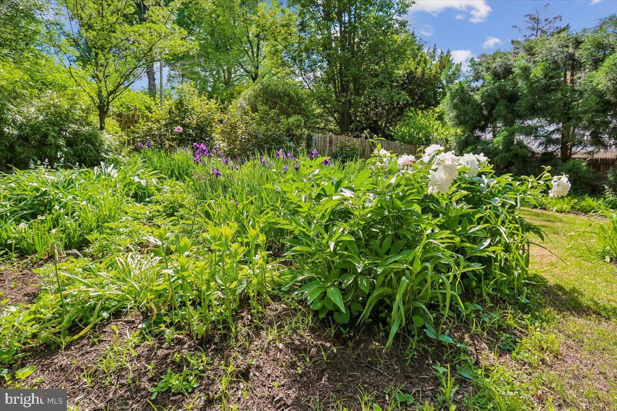 6404 Western Avenue photo 97
