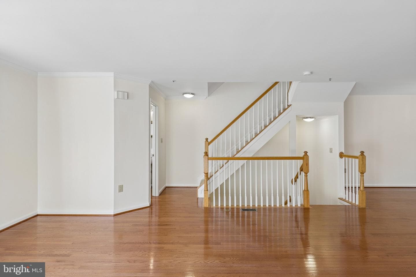 14214 Plum Run Way photo 19
