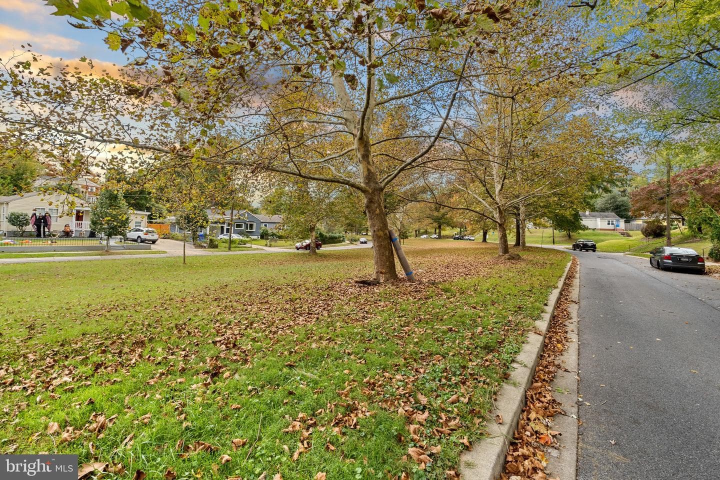 12312 Valleywood Drive photo 55