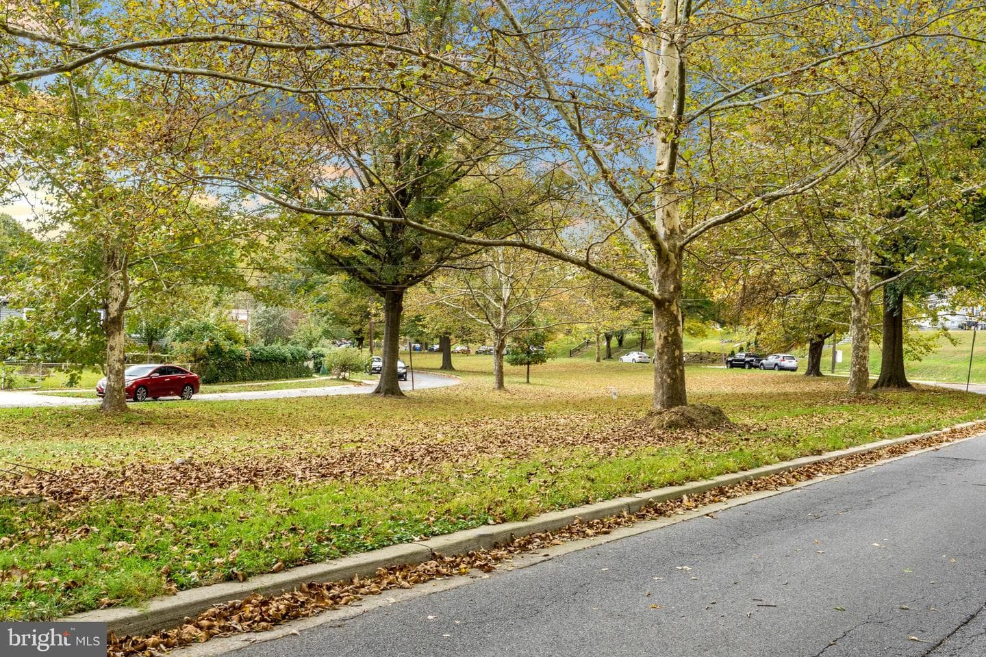 12312 Valleywood Drive photo 61