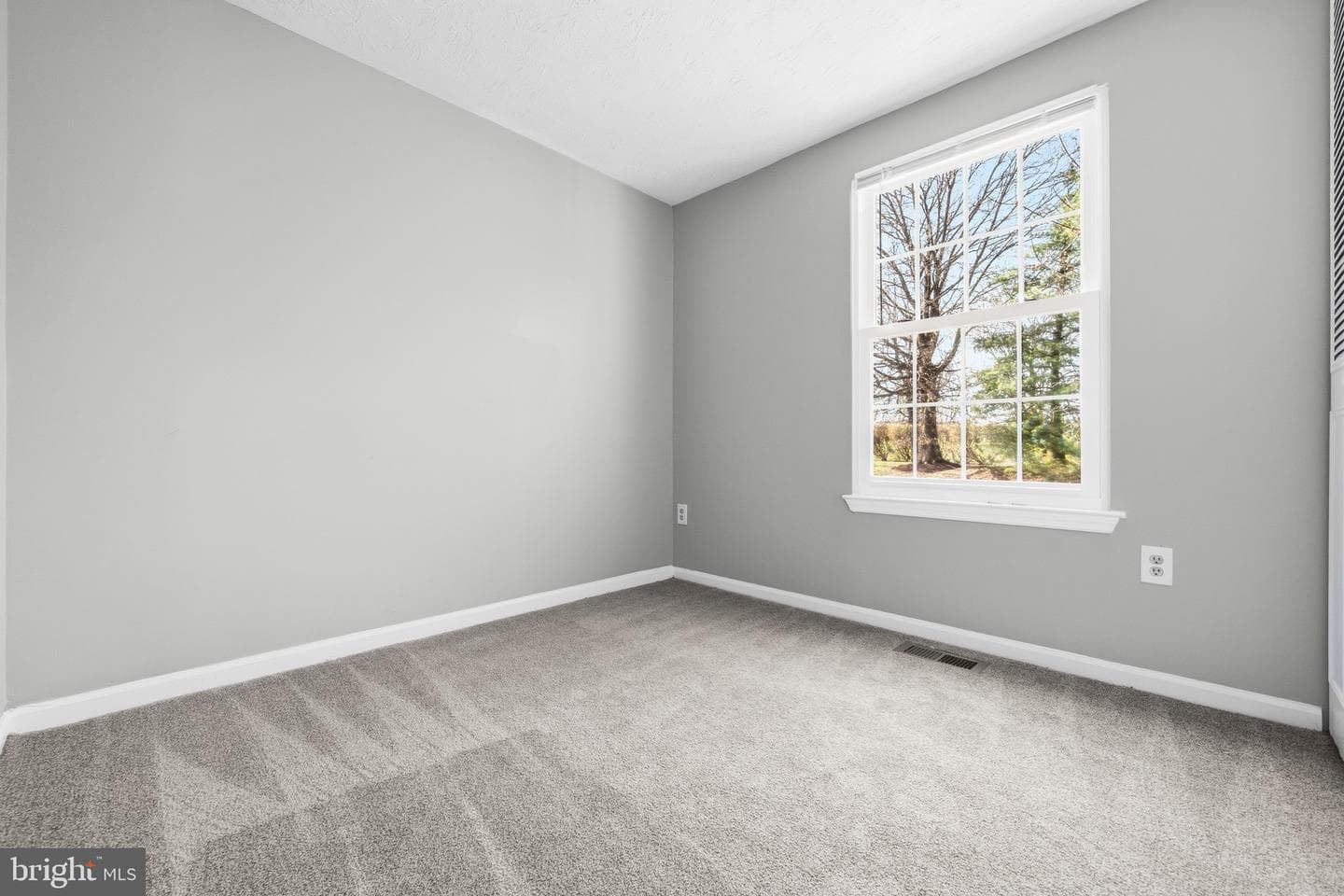 14102 Buck Hill Court photo 15
