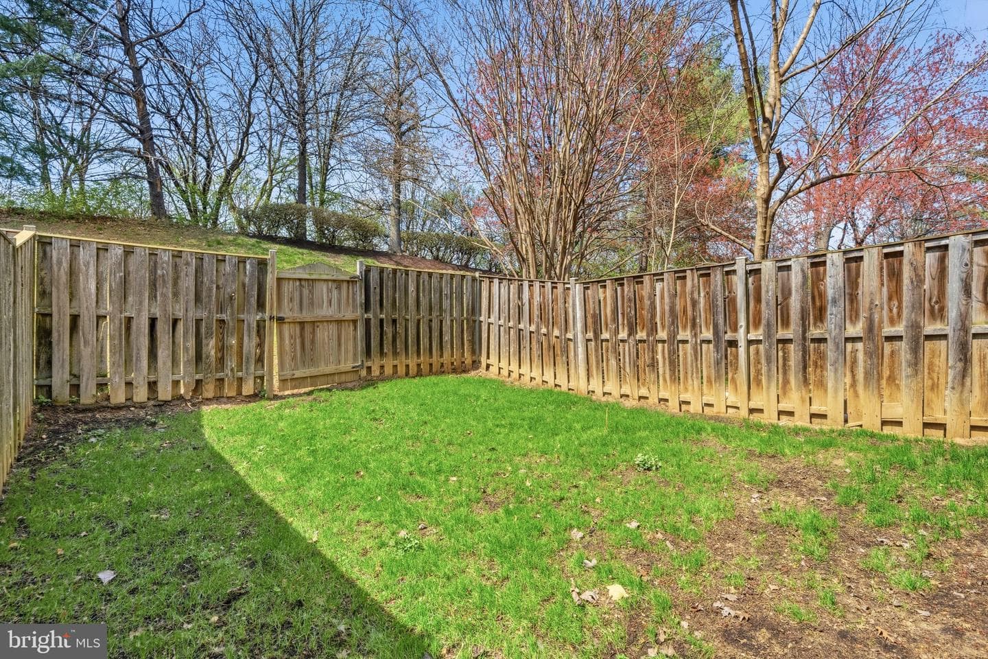 14102 Buck Hill Court photo 25