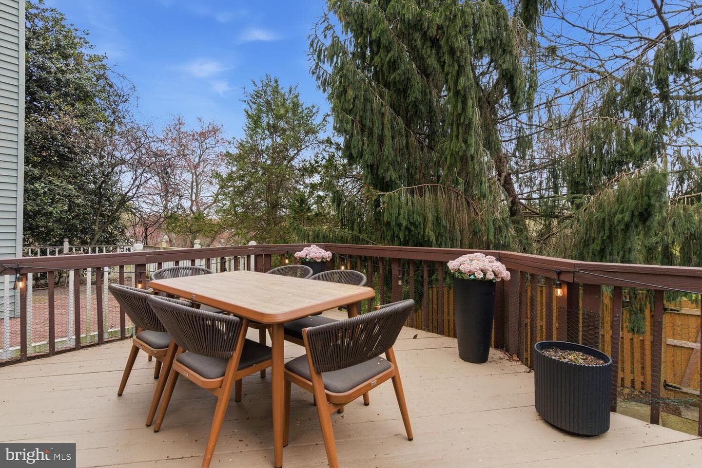 15602 Cliff Swallow Way photo 45