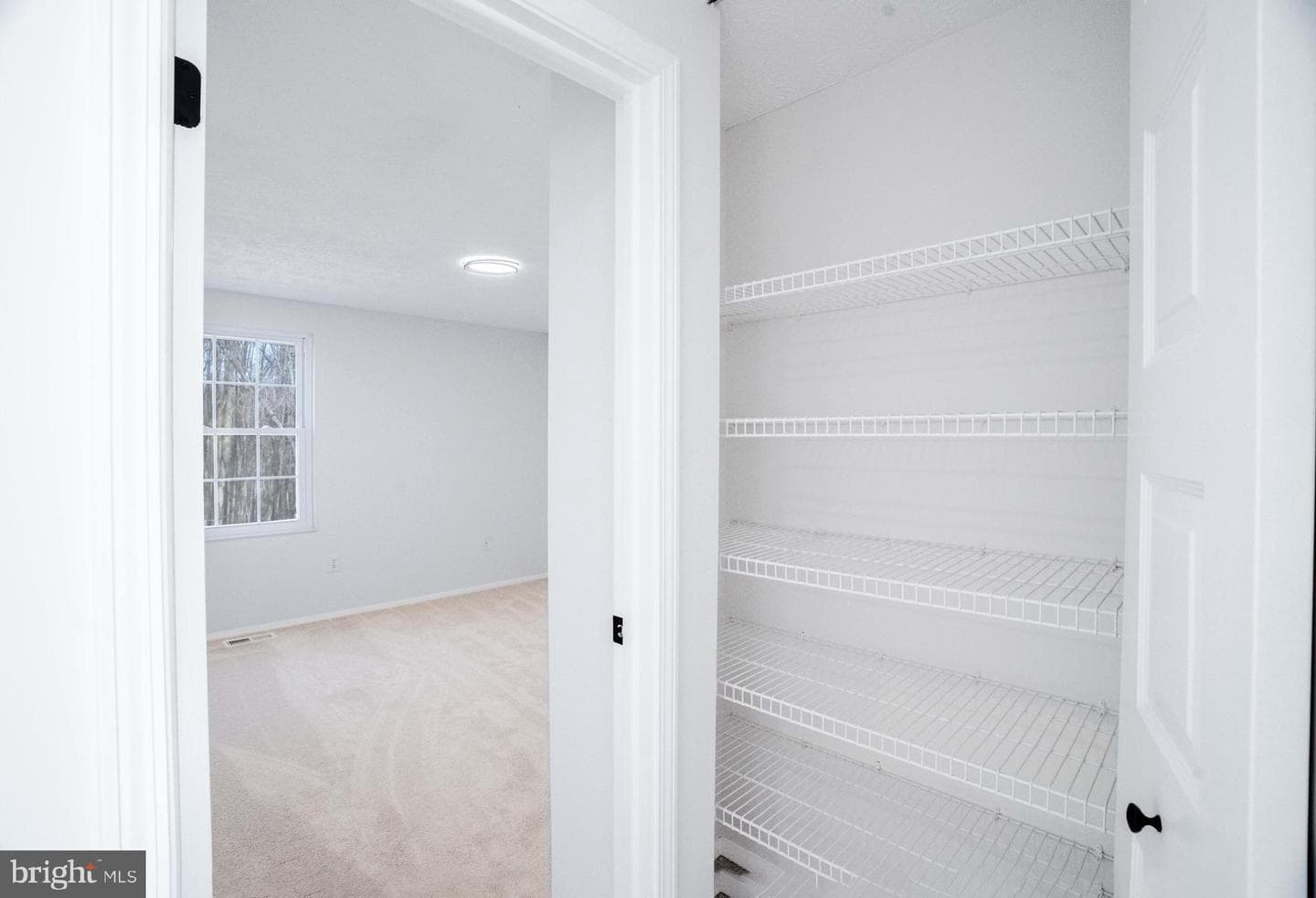1316 Windmill Lane photo 29