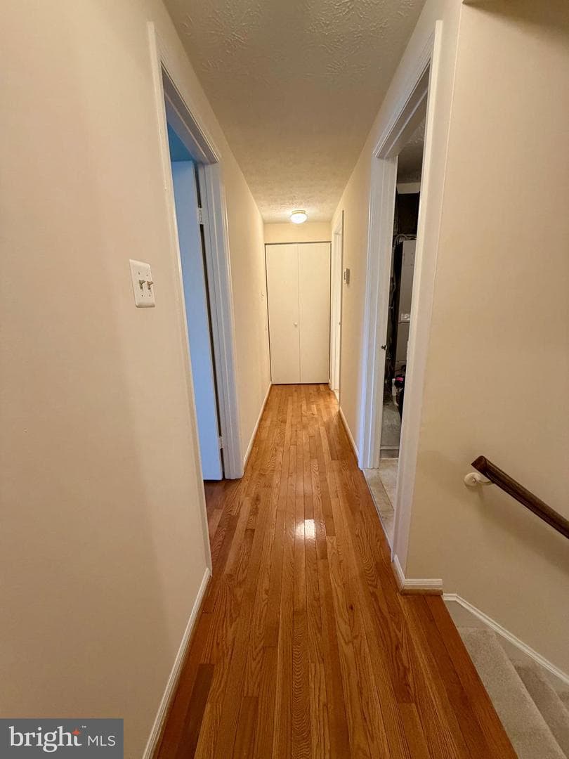 407 Palmtree Drive photo 19