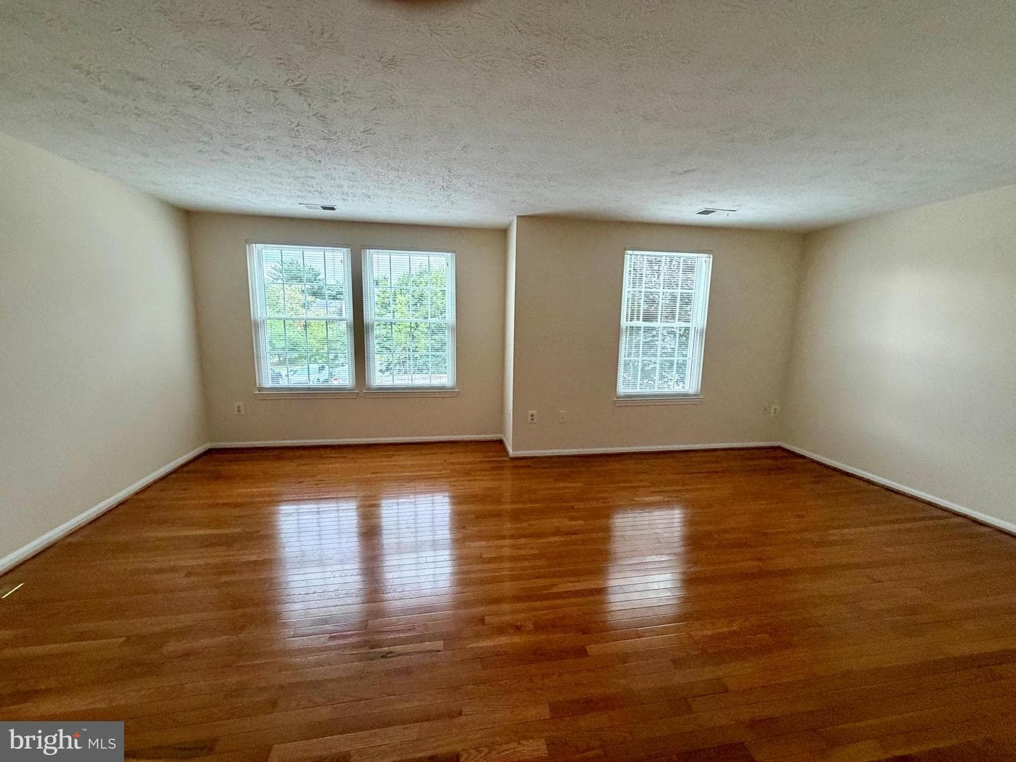 407 Palmtree Drive photo 20