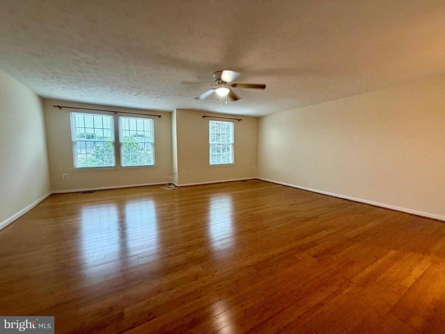 407 Palmtree Drive photo 26