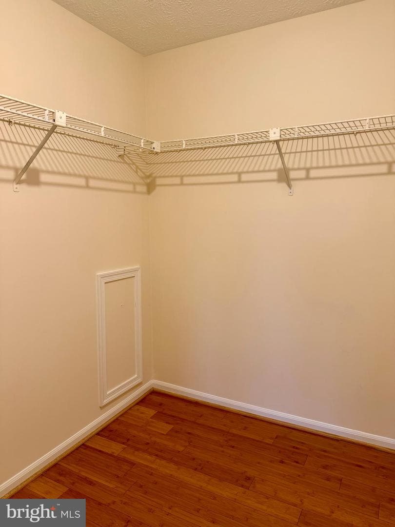 407 Palmtree Drive photo 29