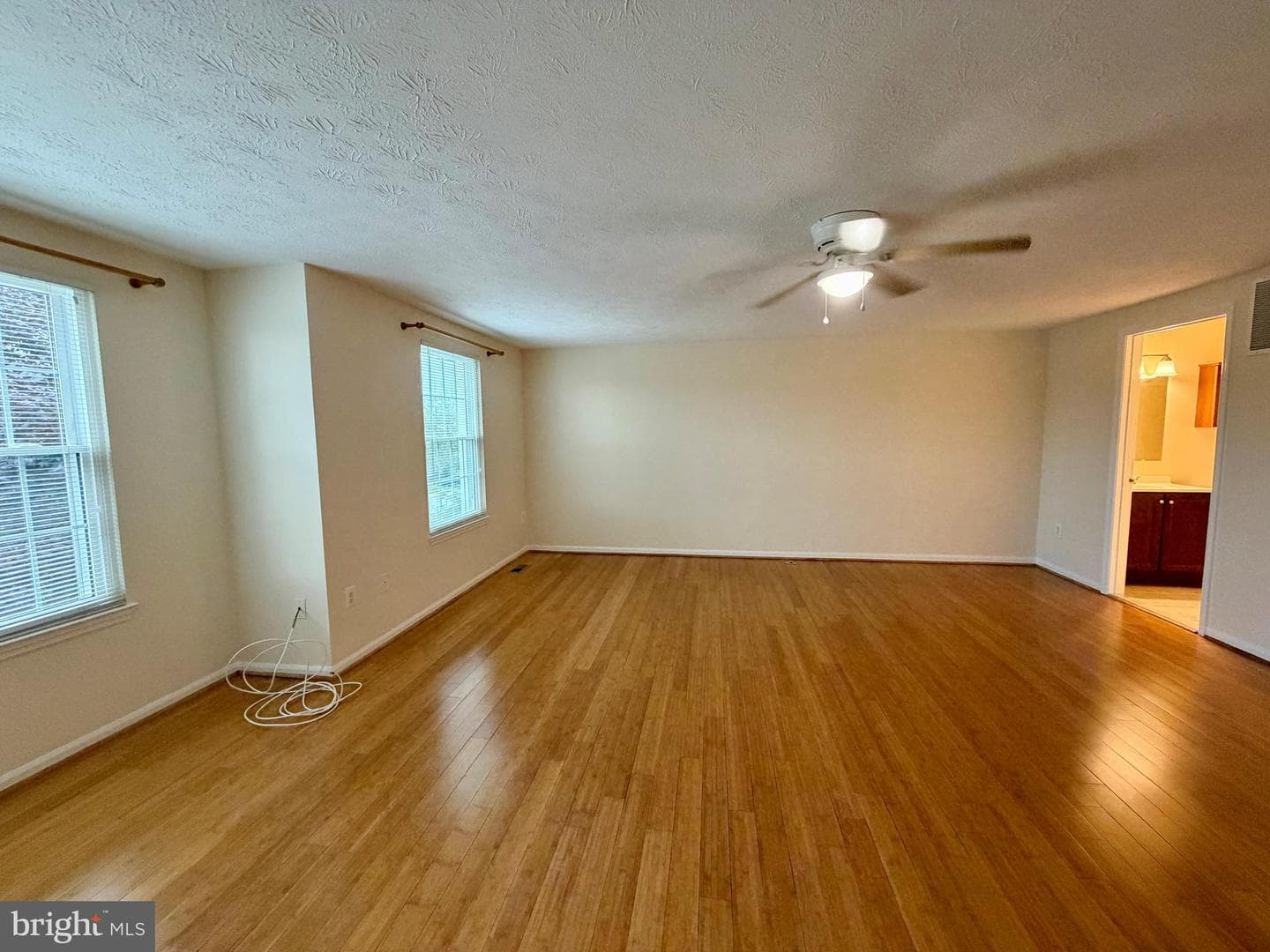 407 Palmtree Drive photo 30