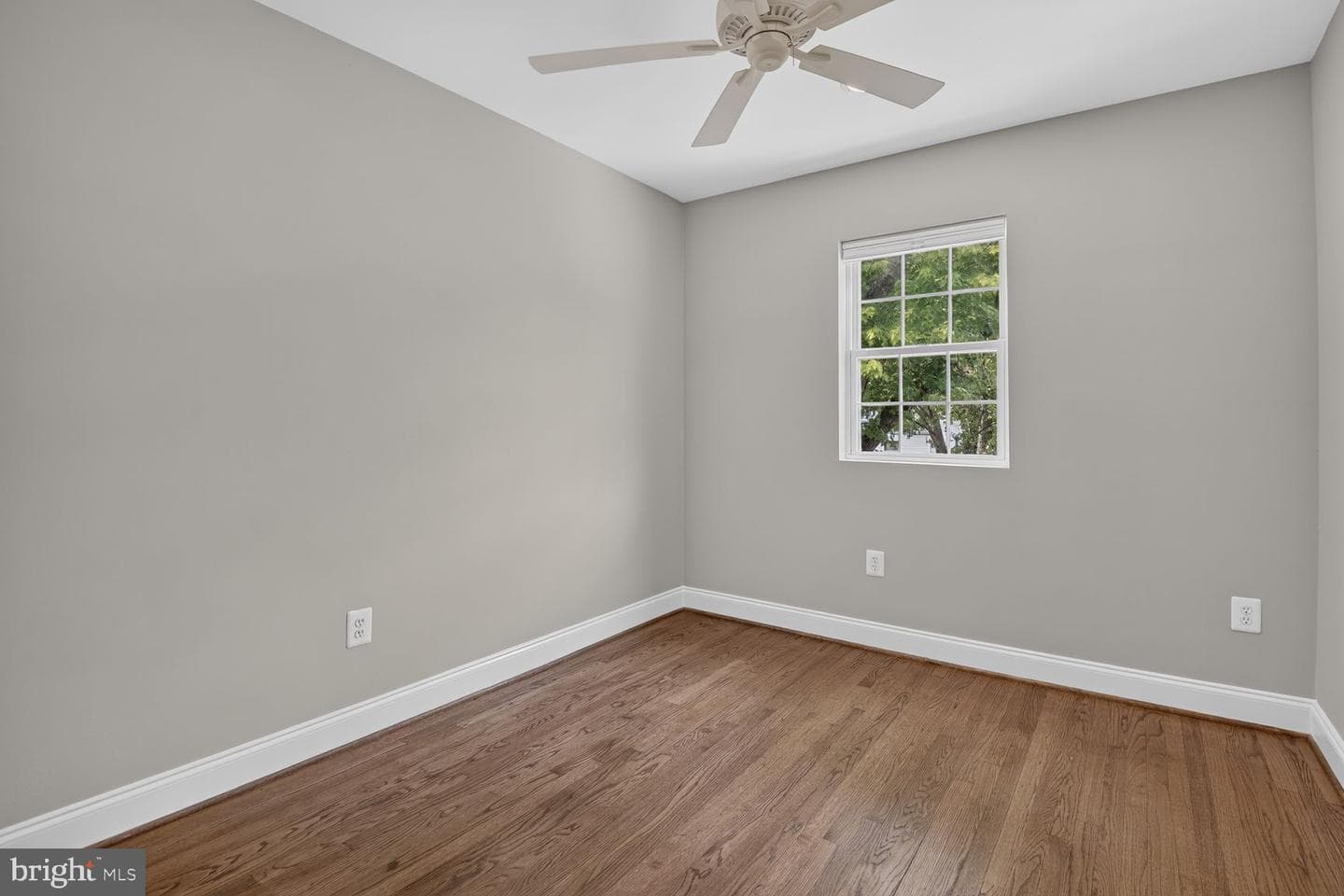 211 Charles Street photo 15
