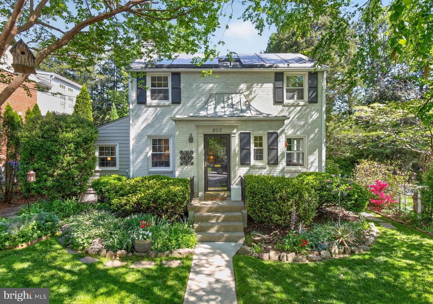 203 Baden Street photo 3