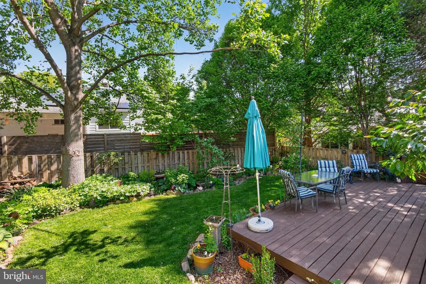 203 Baden Street photo 43