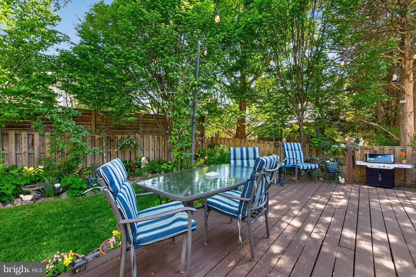 203 Baden Street photo 44