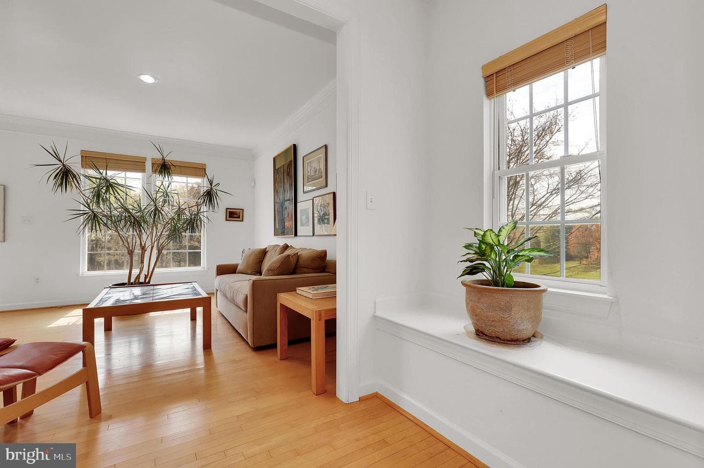3006 Novak Terrace photo 15