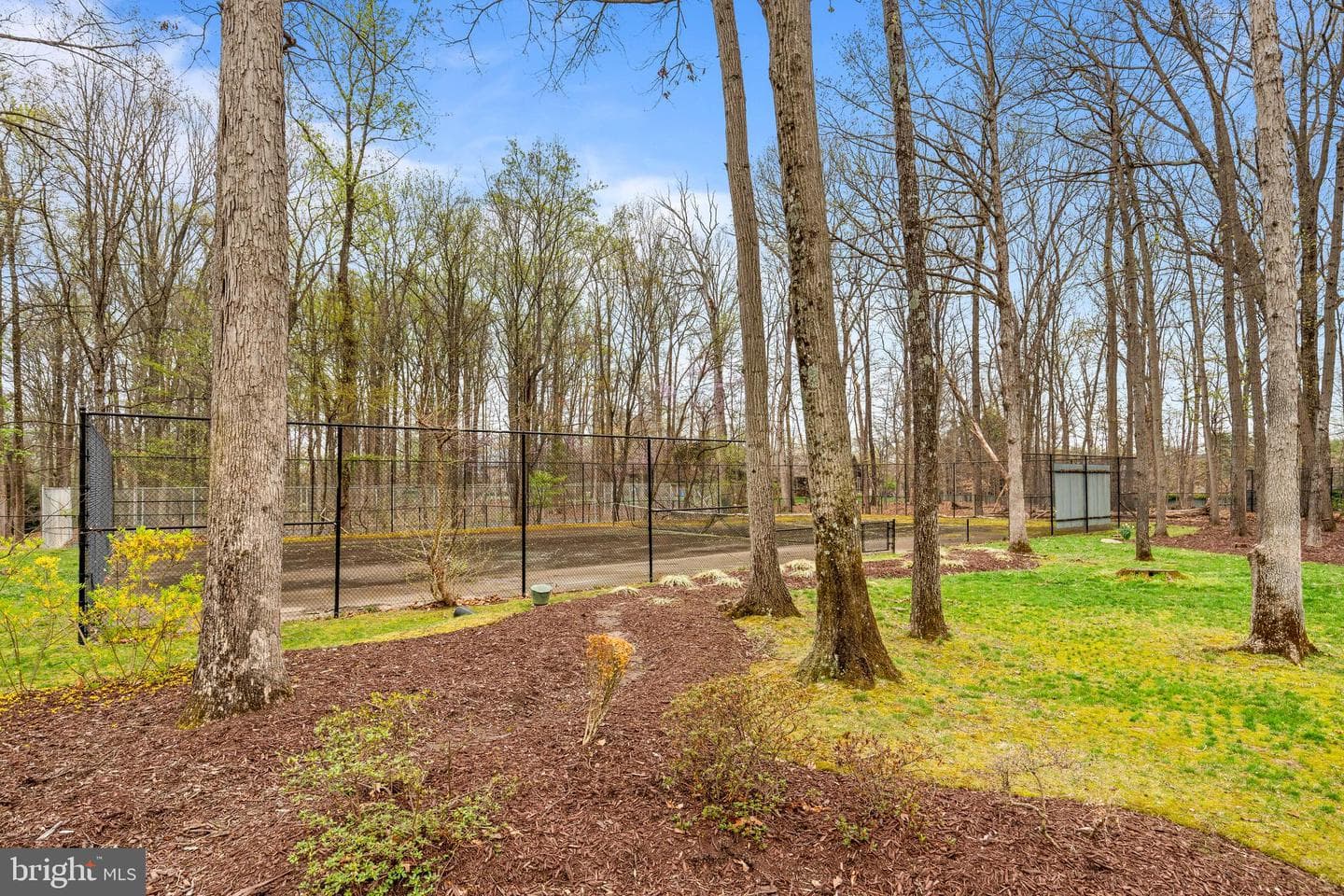 10204 Bentcross Drive photo 10