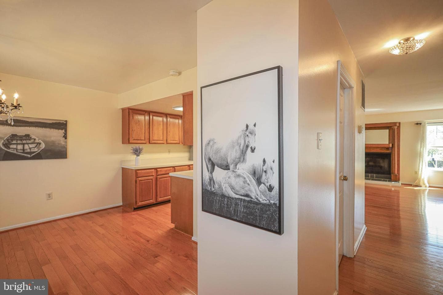 3737 Capulet Terrace #3737 photo 4