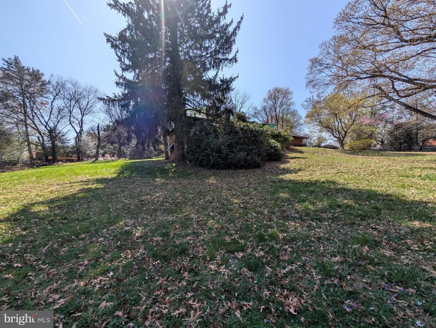 523 Copley Lane photo 15