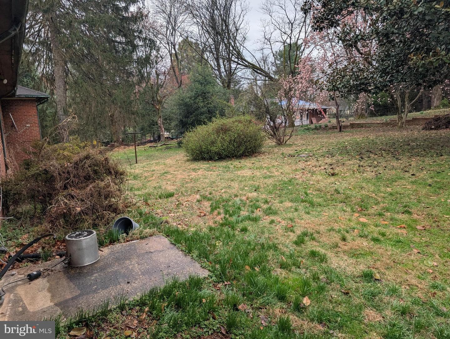 523 Copley Lane photo 7