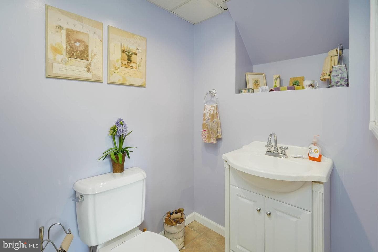 8926 Blue Smoke Drive photo 19