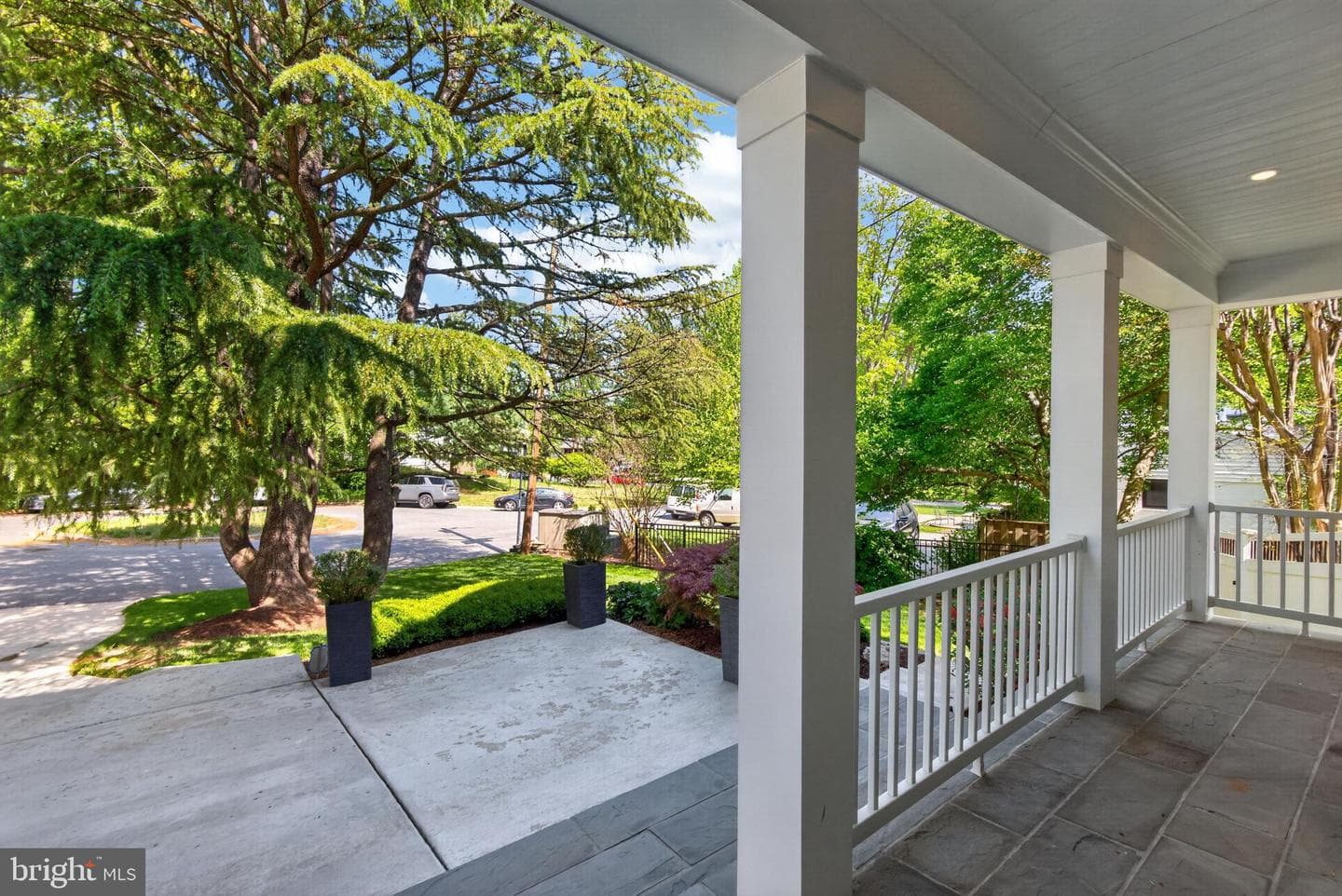4 Orleans Terrace photo 8